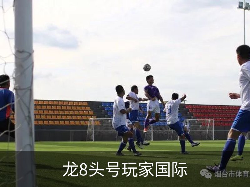 了解龙8头号玩家国际